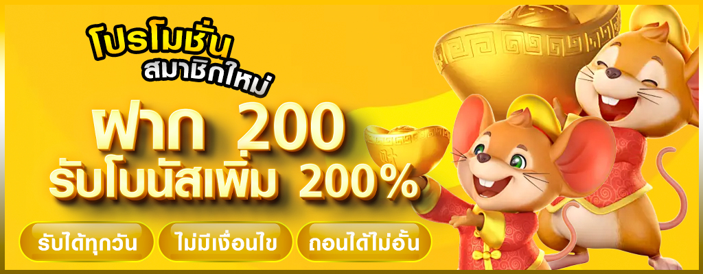 dgk689เว็บแท้ 100%